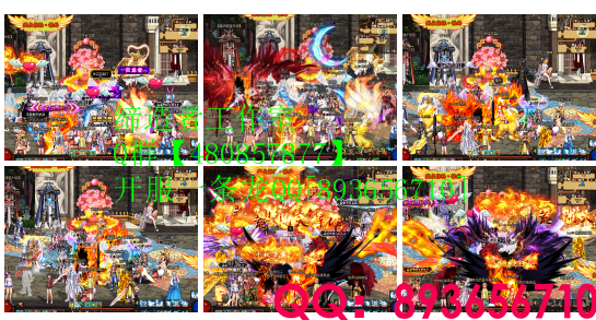 QQ：893656710 (7).png